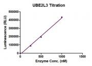 METTL14 activity assay
