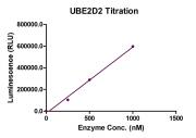 Recombinant UBE2D2 protein activity assay.