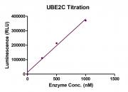Recombinant UBE2C protein activity assay.