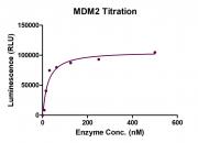 Recombinant MDM2 protein ELISA activity assay