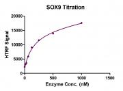 Recombinant SOX9 protein HTRF activity assay