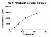 ADP-Glo Assay for CDK4/Cyclin D1 Complex activity