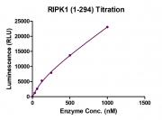 Recombinant RIPK1 (1-294) activity assay