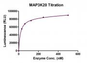 Recombinant MAP3K20 protein ADP-Glo activity assay