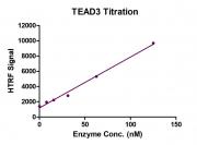 HTRF Assay for TEAD3 activity.