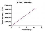 ELISA Assay for PARP2 activity.