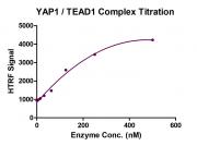 HTRF Assay for YAP1 / TEAD1 activity.
