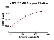 HTRF Assay for YAP1 / TEAD2 activity.