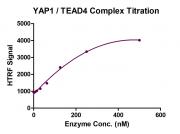 HTRF Assay for YAP1 / TEAD4 activity.
