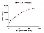 HTRF Assay for NFATC1 activity.
