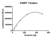 Recombinant PARP7 protein activity assay.