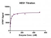 HTRF Assay for HES1 activity.