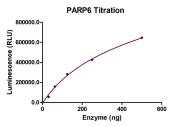 HTRF Assay for PARP6 activity.