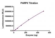 HTRF Assay for PARP8 activity.