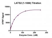 HTRF Assay for LATS2 activity.