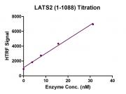 HTRF Assay for LATS2 activity.