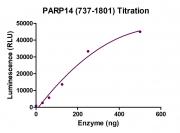 ELISA Assay for PARP17 (737-1801) activity.