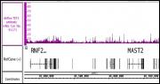AbFlex<sup>®</sup> TET1 antibody (rAb) tested by ChIP-Seq.