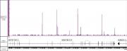 AbFlex<sup>®</sup>AbFlex® CTCF recombinant antibody (rAb) tested by TIP-ChIP.