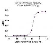 AbFlex SARS-CoV-2 Spike Antibody (rAb) (AM009105) tested by ELISA using SARS Spike protein RBD.