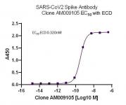 AbFlex SARS-CoV-2 Spike Antibody (rAb) (AM009105) tested by ELISA using SARS Spike protein ECD.
