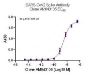 AbFlex SARS-CoV-2 Spike Antibody (rAb) (AM043105) tested by ELISA using SARS Spike protein ECD.