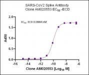 SARS-CoV-2 Spike Antibody (AM020553) tested by ELISA.