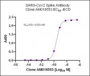 SARS-CoV-2 Spike Antibody (rAb) (AM018553) tested by ELISA