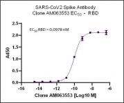 SARS-CoV-2 Spike Antibody (rAb) (AM063553) tested by ELISA.