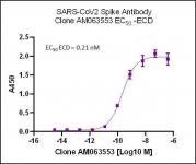 SARS-CoV-2 Spike Antibody (rAb) (AM063553) tested by ELISA
