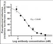SARS-CoV-2 Spike Antibody (rAb) (AM063553) tested by Neutralization.