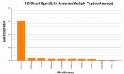 AbFlex® Histone H3K4me1 antibody (rAb) tested by Histone Peptide Array
